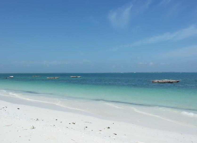Beach Photo