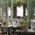 Schloss Hotel Dresden Pillnitz restaurant with glass walls and garden views in Dresden