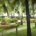 Calangute Residency in Calangute with palm trees, garden path, and landscaped tropical grounds