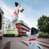Disney's All-Star Movies Resort in Bay Lake with giant Dalmatian statues and a colorful hotel building