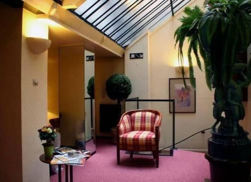 Hotel Elysée Lyon lobby lounge with skylight, pink carpet, armchair, and potted plants