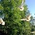 Outdoors view