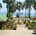 Nalla Eco Beach Resort in Pondicherry with palm-lined garden path and ocean view