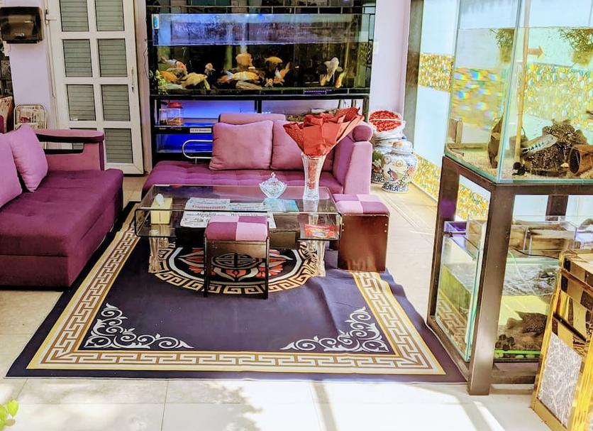 Living room Photo