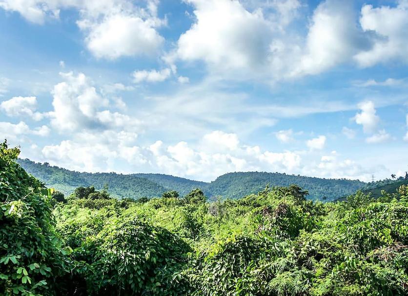 Outdoors view Photo