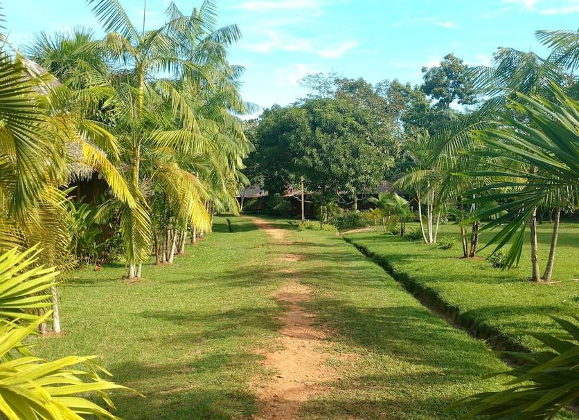 Outdoors view Photo
