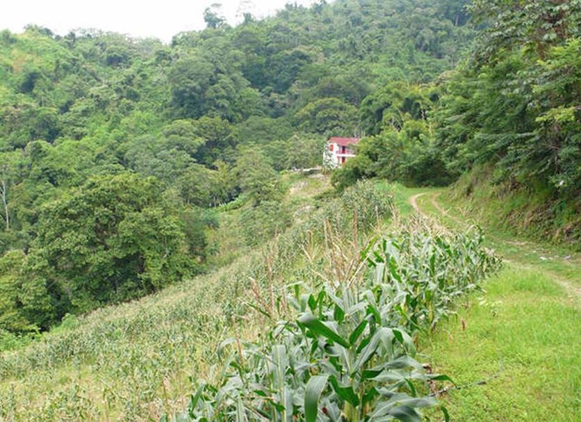 Outdoors view Photo