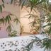 Meya Beach Walk Hotel in Mahabalipuram with a plant-lined outdoor walkway and white lattice railing