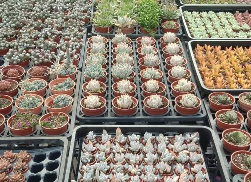 Other Photo