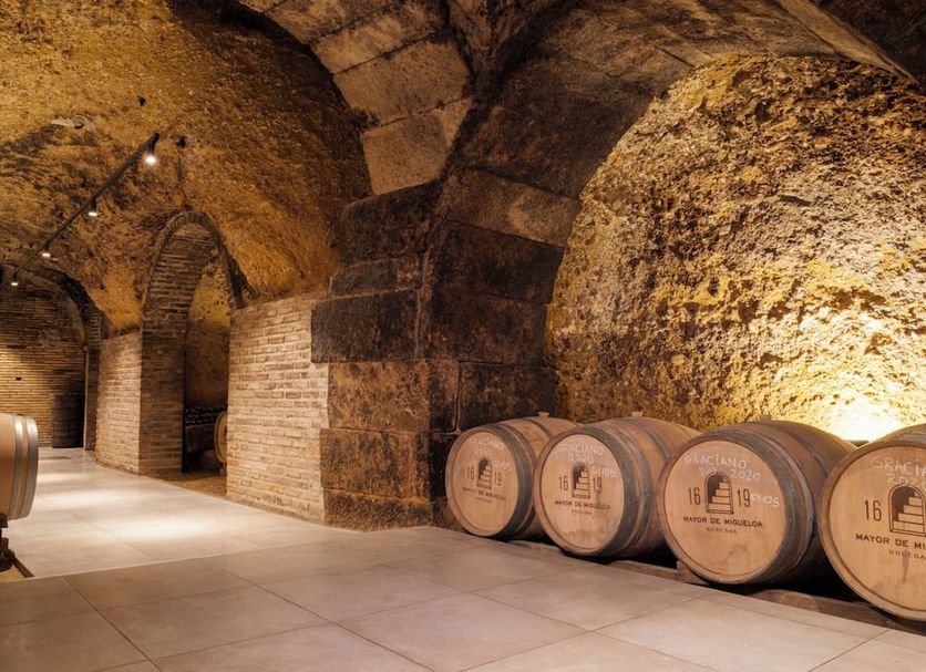 Posada Mayor de Migueloa in Laguardia, vaulted stone wine cellar with wooden barrels