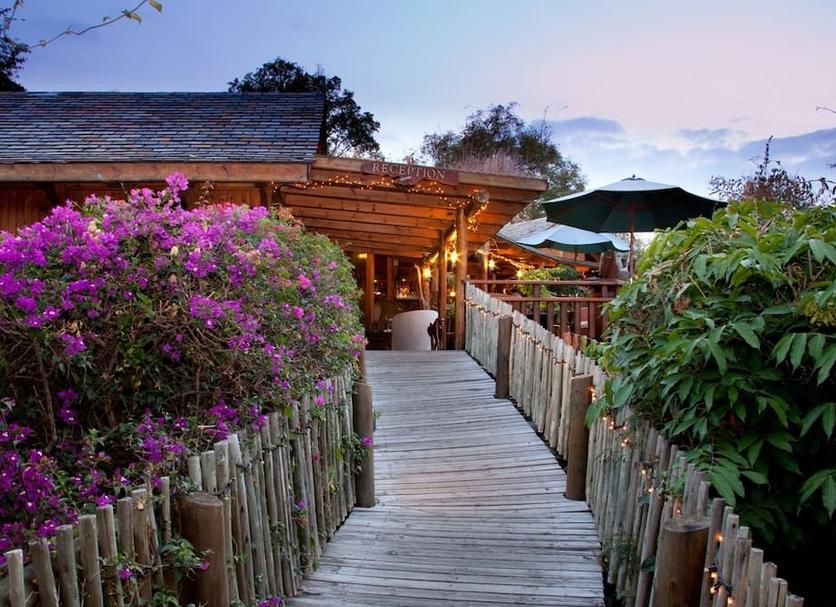 Outdoors view Photo