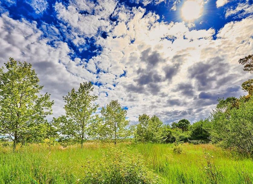 Outdoors view Photo