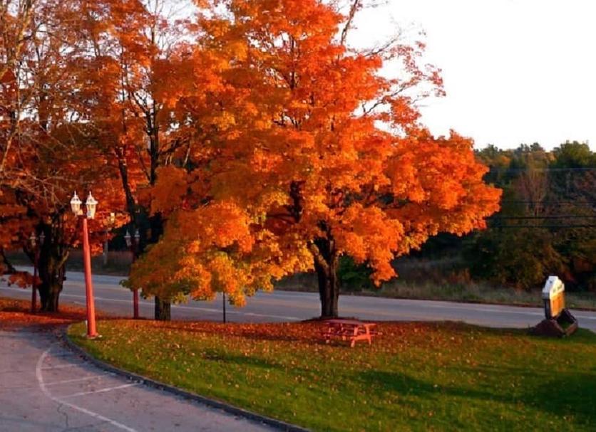 Outdoors view Photo