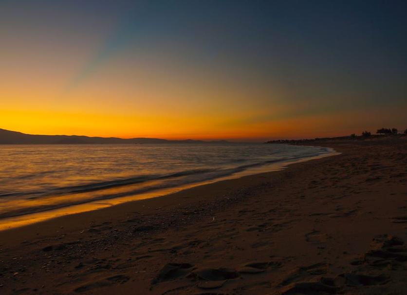 Beach Photo