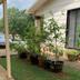 Outdoors view
