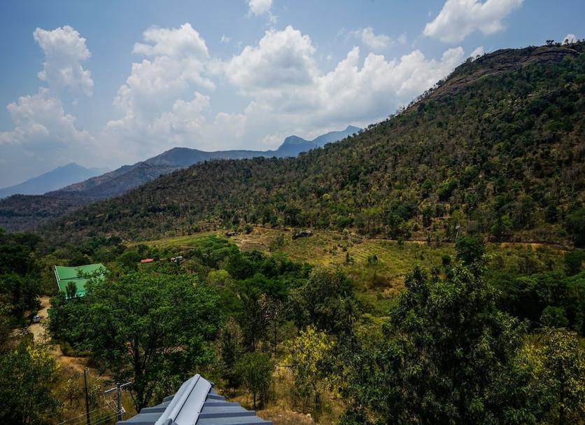 Outdoors view Photo