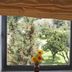 Flegrea House - Casa Rosa window view of garden and trees in Pozzuoli