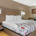 Red Roof Inn Detroit-Rochester Hills/Auburn Hills guest room with king bed and desk in Rochester Hills