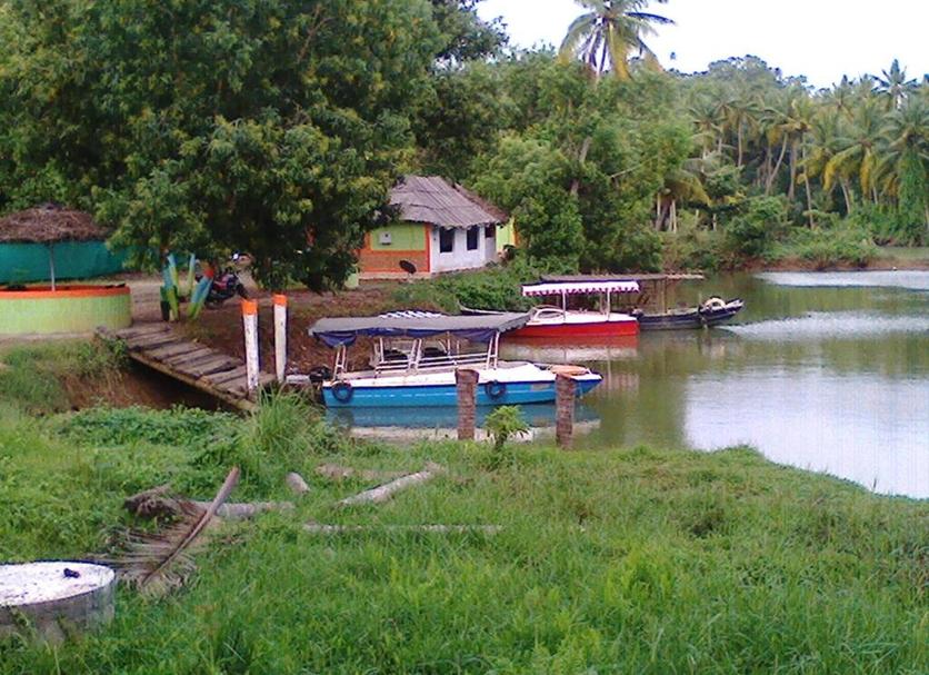 Other Photo
