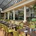The Dilly, London: bright indoor courtyard restaurant with arched glass roof and green chairs