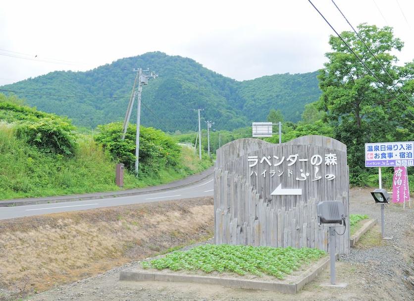 Other Photo