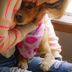 Hotel Cielo y Selva, San Cristóbal de las Casas: person hugging a dog in a pink bandana.