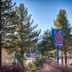 Motel 6 Mammoth Lakes exterior sign among pine trees with mountain backdrop