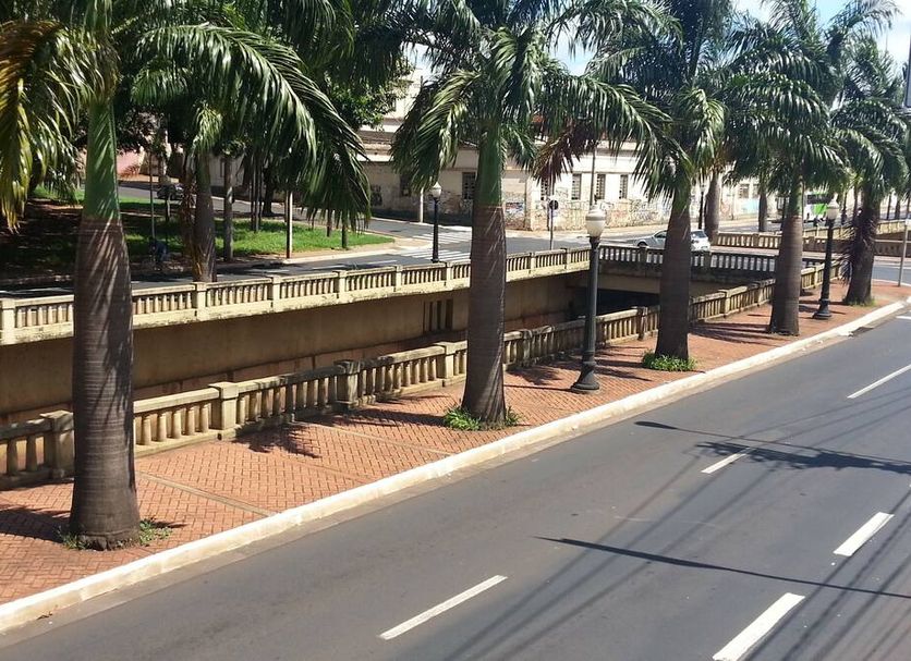 Aurora Hotel in Ribeirão Preto with palm-lined street and sidewalk beside the property