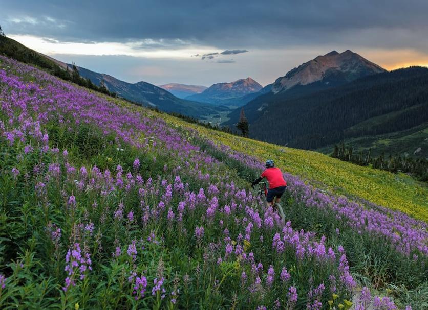 Outdoors view Photo