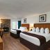 River Terrace Resort & Convention Center in Gatlinburg, guest room with two beds and stone fireplace