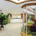 Bella Hotel in Istanbul lobby with reception desk, seating area, and potted palm