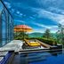 Wildflower Hall, An Oberoi Resort, Shimla infinity pool with mountain valley views and lounge chairs