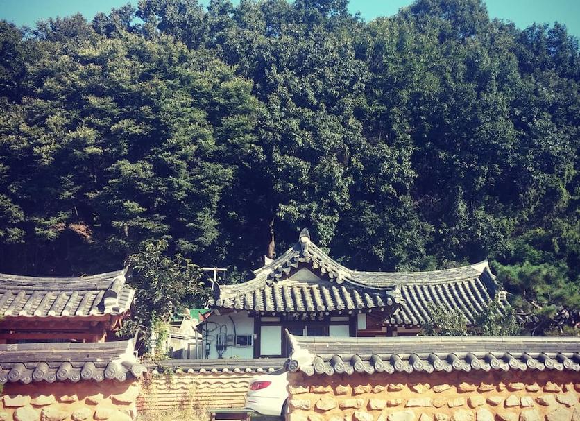 Outdoors view Photo