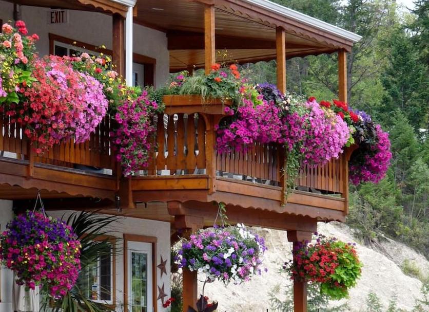 Outdoors view Photo