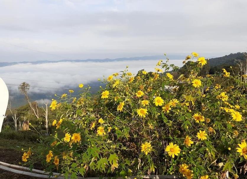 Outdoors view Photo