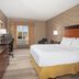 Holiday Inn Express & Suites Denver Sw-Littleton guest room with king bed, TV, desk and window view