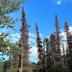 Outdoors view