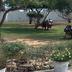 Outdoors view