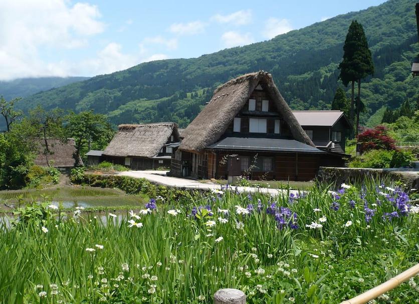 Outdoors view Photo