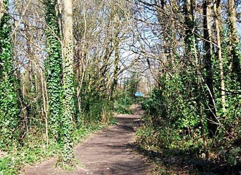 Outdoors view Photo