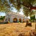 La Piana degli Ulivi in Ostuni, white villa with arched terrace under olive trees