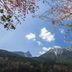 Berghotel Rehlegg in Ramsau with snowy mountain peak framed by flowering branches and blue sky