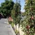 Outdoors view
