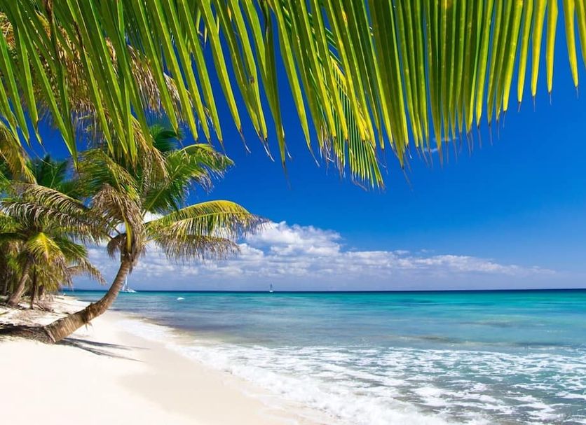 Beach Photo