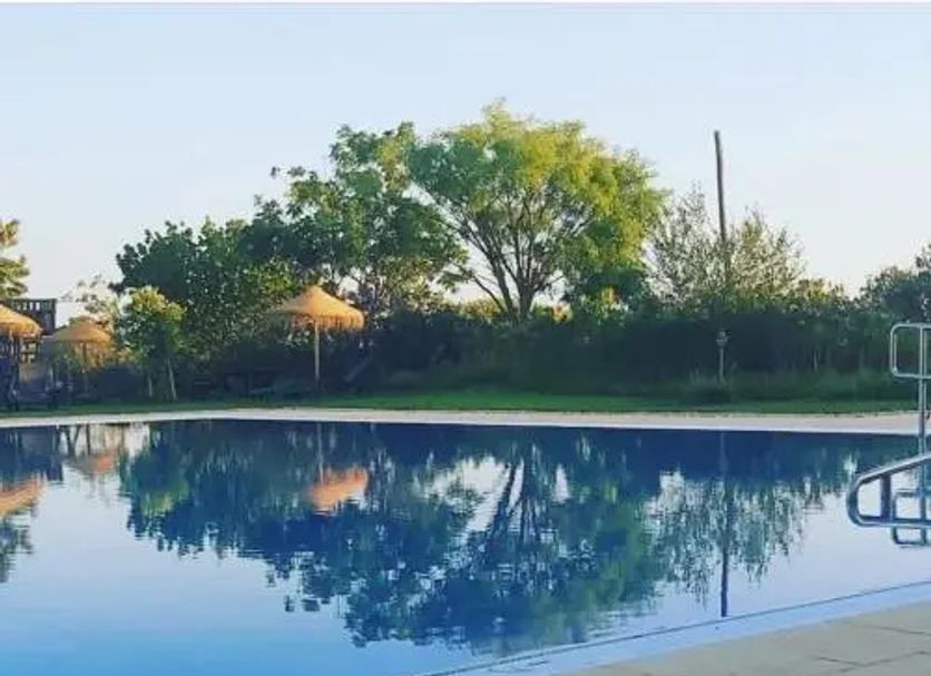 Monte das Palmeiras in Ferreira do Alentejo, outdoor pool reflecting trees and blue sky