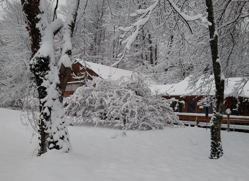 Other Photo