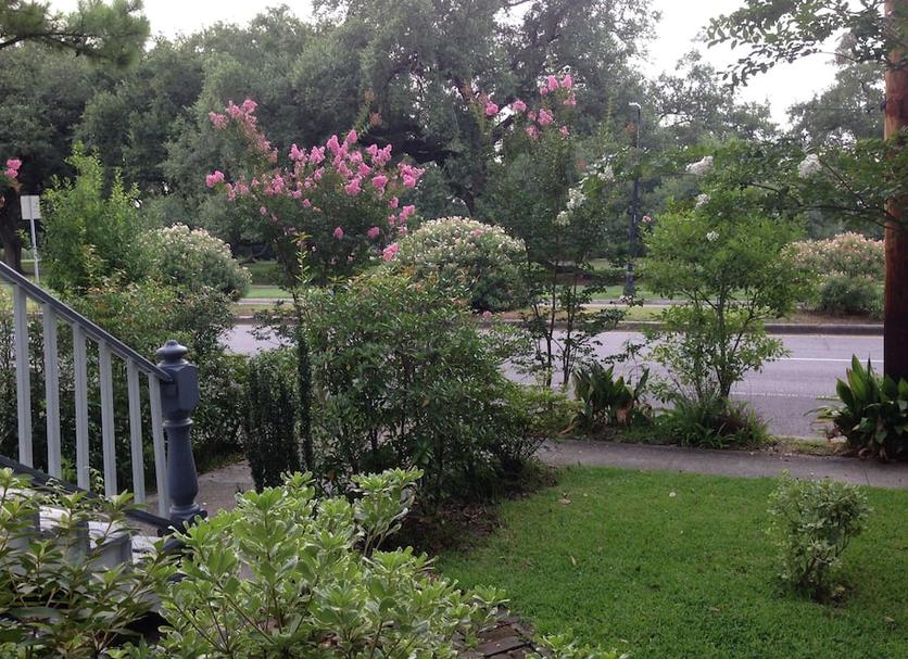 Outdoors view Photo