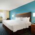 Fairfield Inn by Marriott Kankakee Bourbonnais guest room with king bed, desk, TV, and blue accent wall