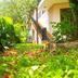Outdoors view
