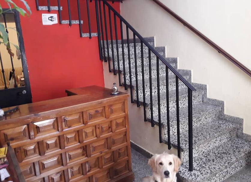 Stairs Photo